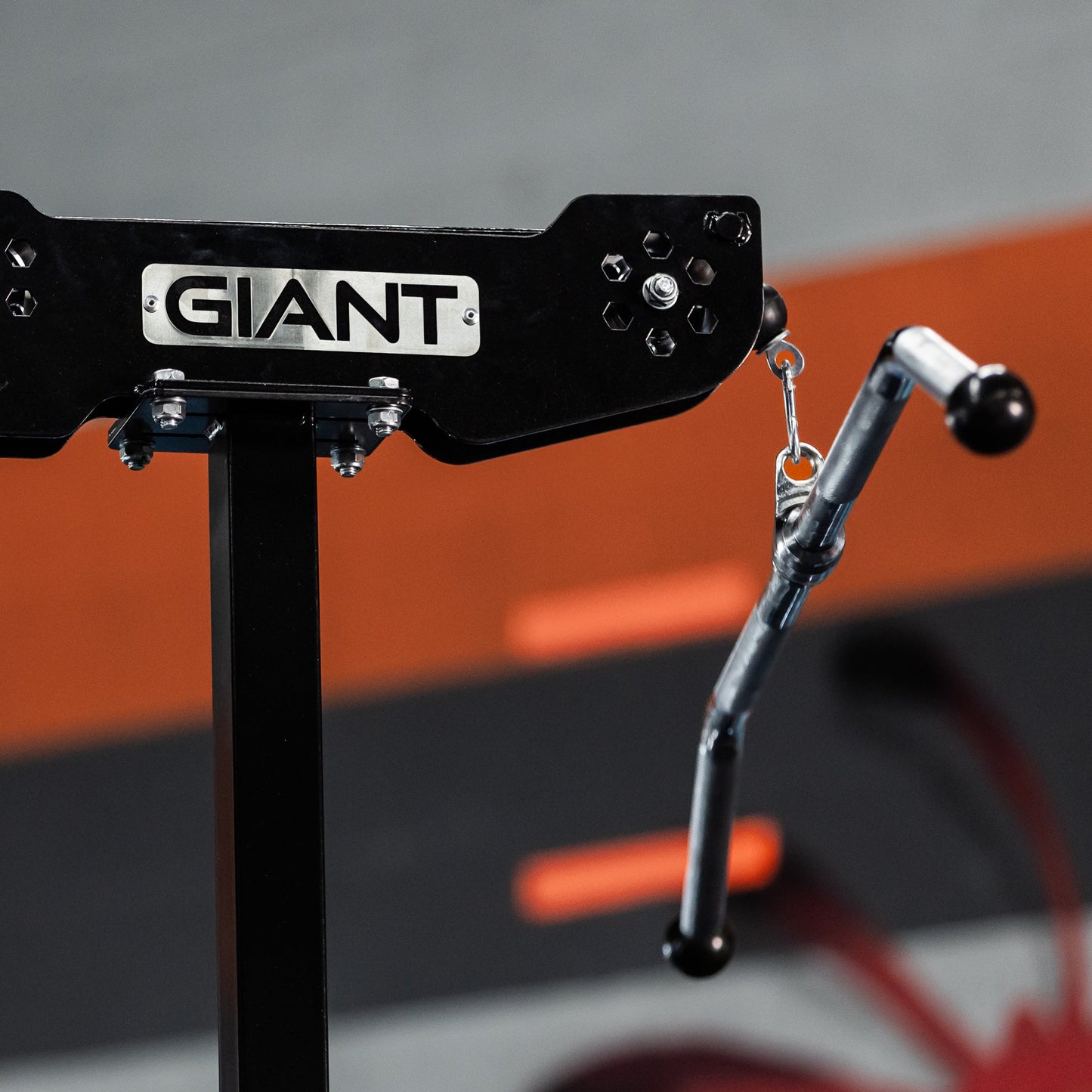 GIANT Standalone Lat & Low Row