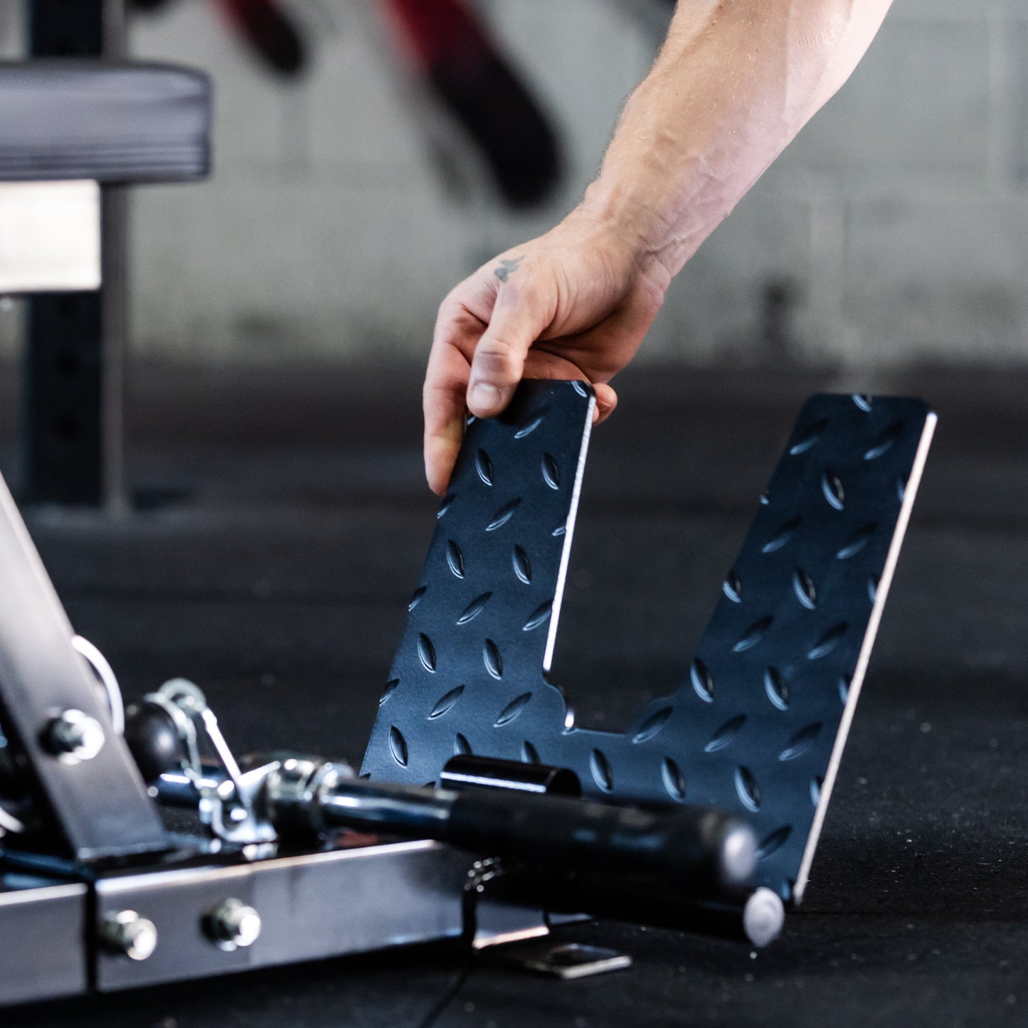 GIANT Standalone Lat & Low Row