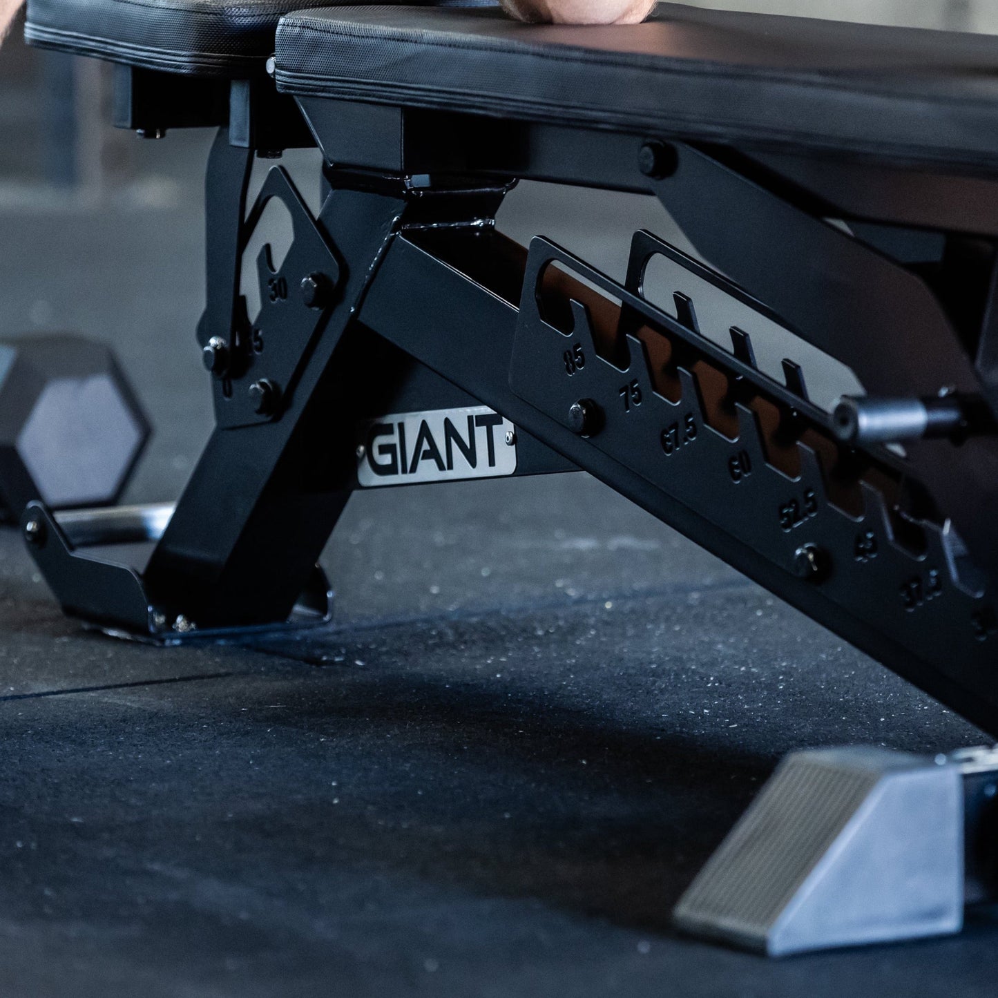 GIANT F85 Adjustable Bench