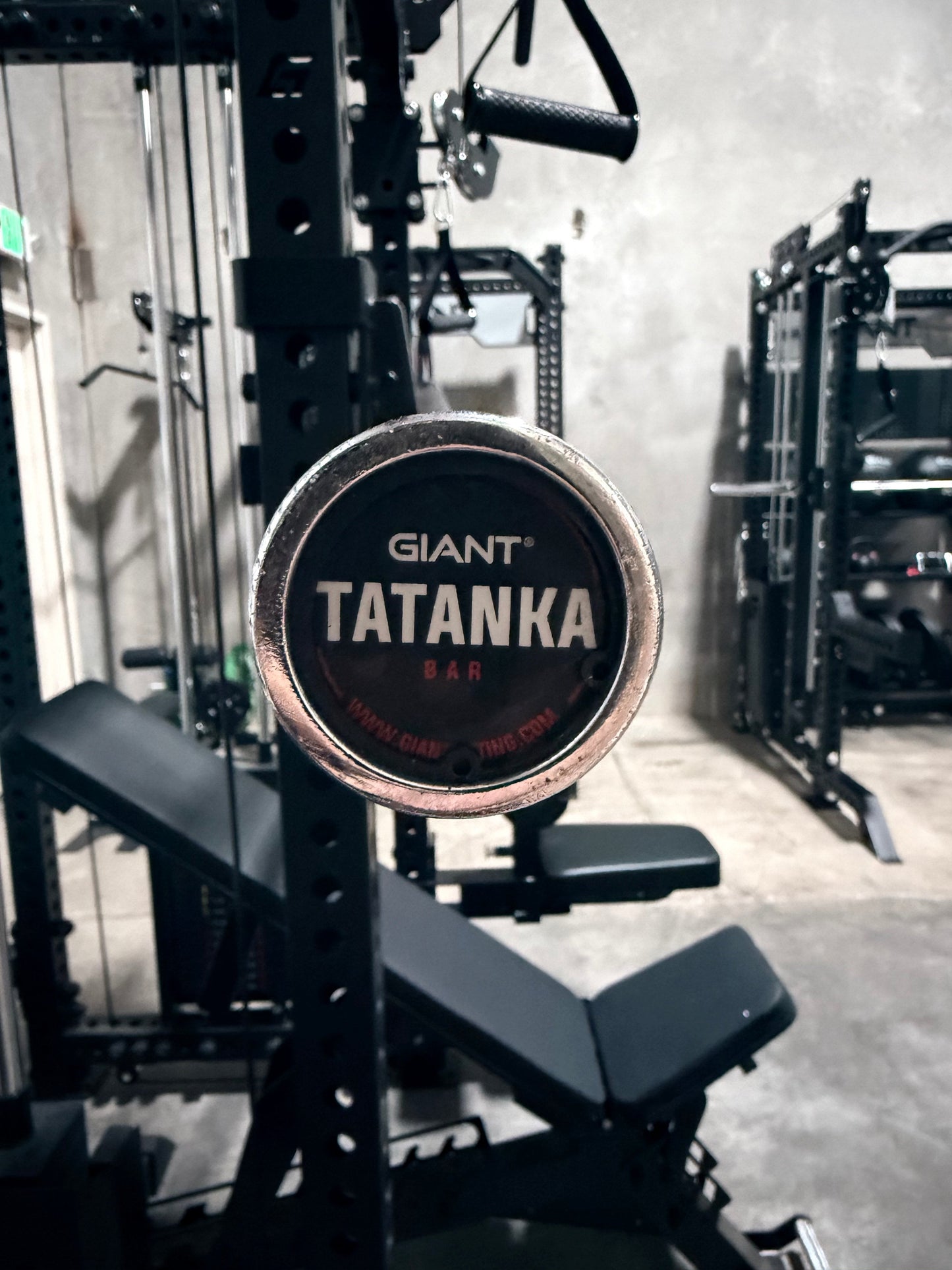 GIANT Tatanka Barbell - Black Zinc (Final Sale)(Warehouse Clearout)