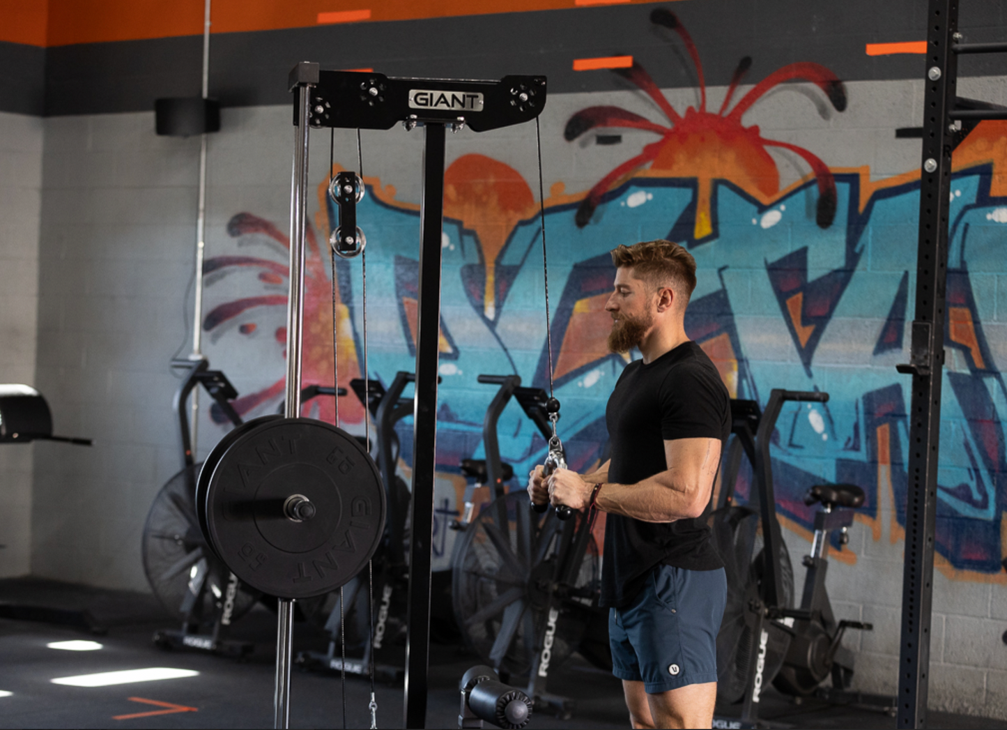 GIANT Standalone Lat & Low Row