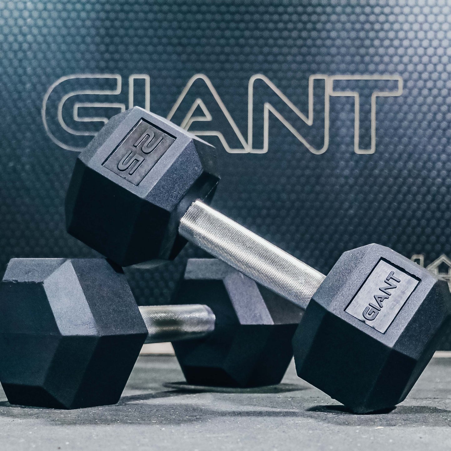 GIANT Rubber Hex Dumbbell Pairs - Straight