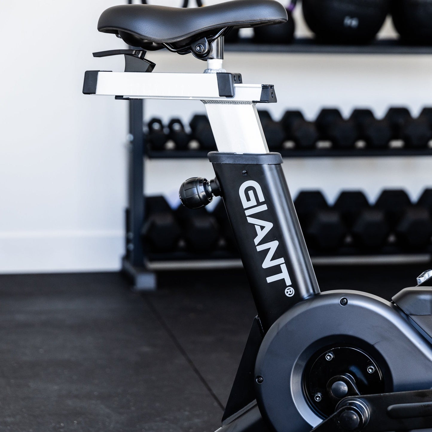 GIANT Air Bike (Final Sale)