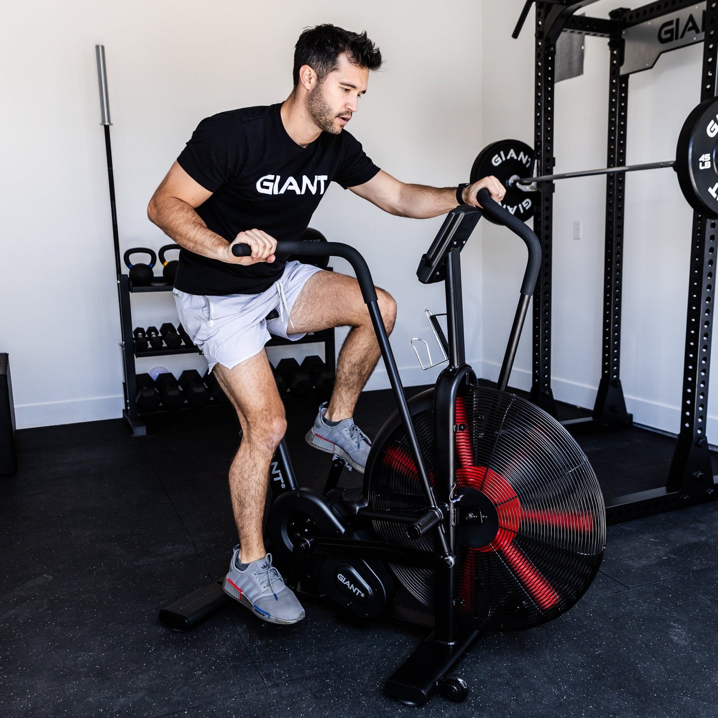 GIANT Air Bike (Final Sale)