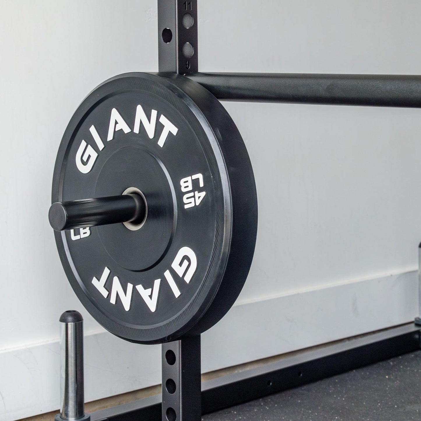 GIANT 2X Weight Storage Pegs