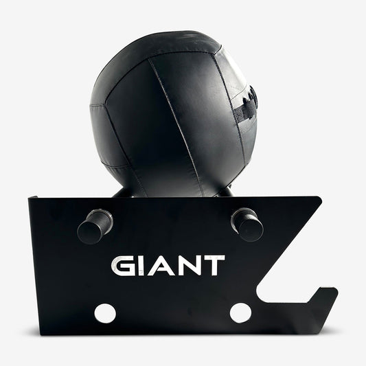GIANT Wall-Mounted Medicine Ball Storage Rack (Final Sale)
